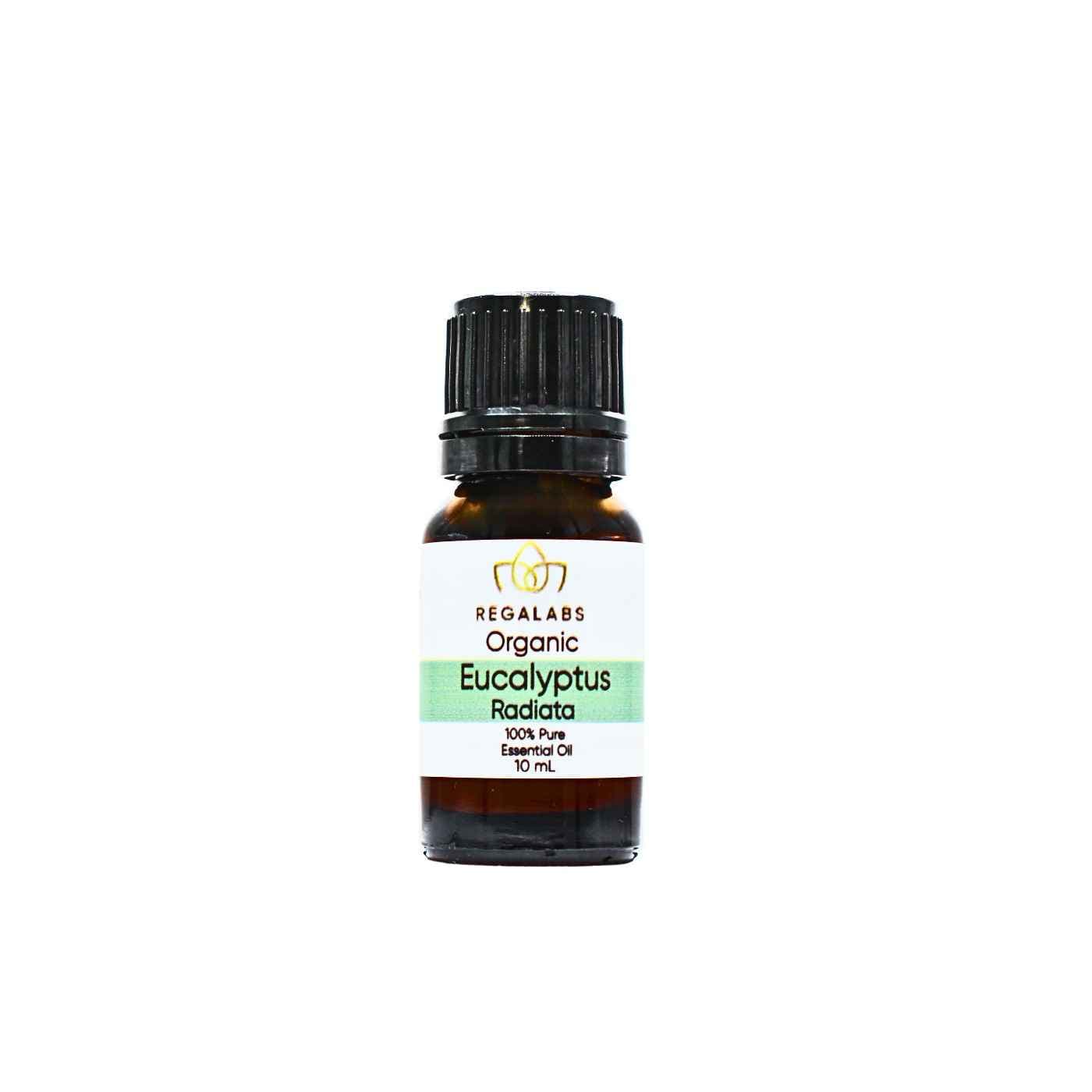 Organic Eucalyptus Essential Oil